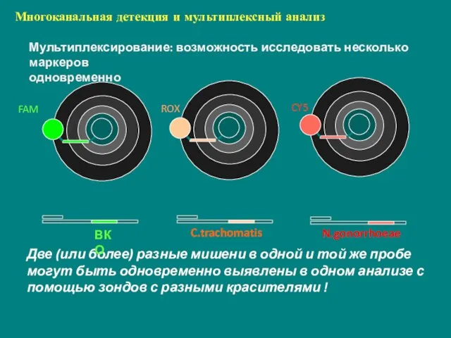 Мультиплексирование: возможность исследовать несколько маркеров одновременно Две (или более) разные