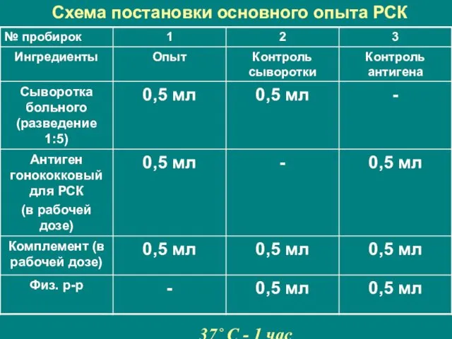 Схема постановки основного опыта РСК 37˚ С - 1 час