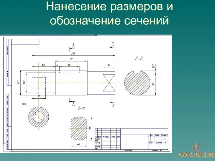 Нанесение размеров и обозначение сечений