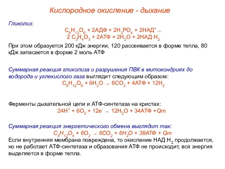 Гликолиз: С6Н12О6 + 2АДФ + 2Н3РО4 + 2НАД+→ 2 С3Н4О3