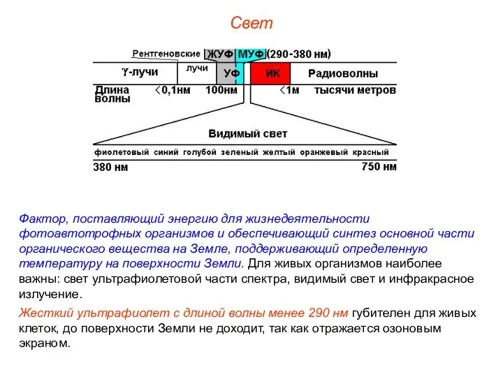 Свет Фактор, поставляющий энергию для жизнедеятельности фотоавтотрофных организмов и обеспечивающий