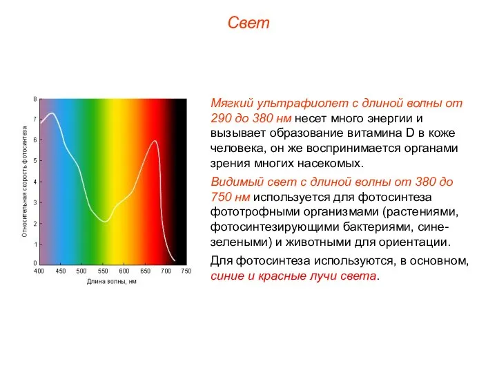 Свет Мягкий ультрафиолет с длиной волны от 290 до 380