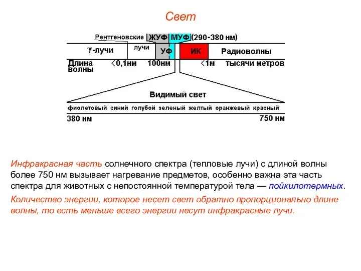 Свет Инфракрасная часть солнечного спектра (тепловые лучи) с длиной волны