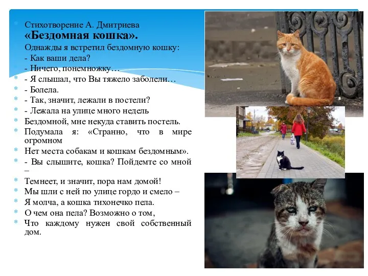 Стихотворение А. Дмитриева «Бездомная кошка». Однажды я встретил бездомную кошку: