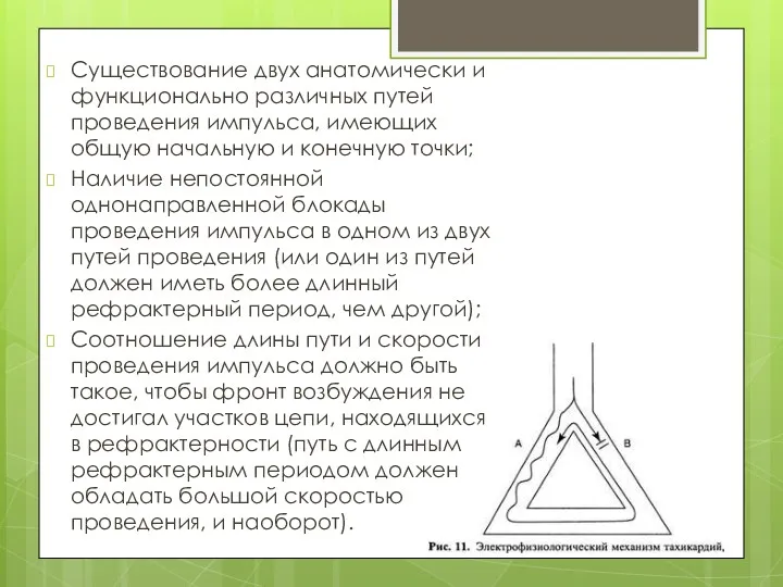 Существование двух анатомически и функционально различных путей проведения импульса, имеющих