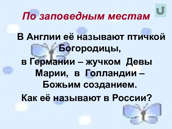 По заповедным местам В Англии её называют птичкой Богородицы, в