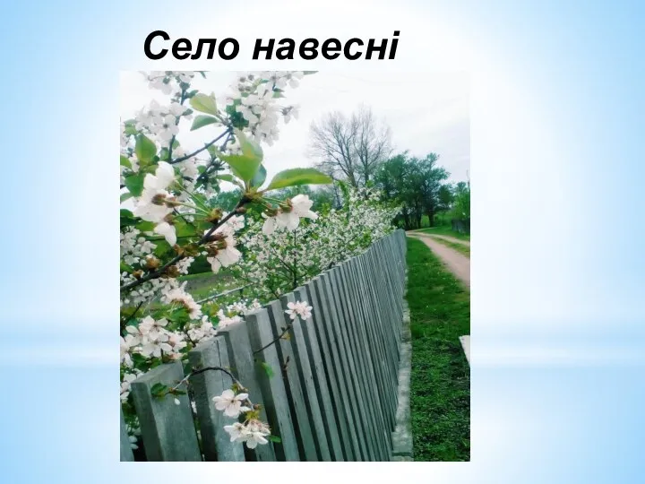 Село навесні