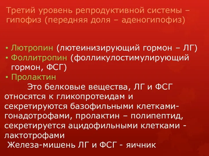 Третий уровень репродуктивной системы – гипофиз (передняя доля – аденогипофиз)