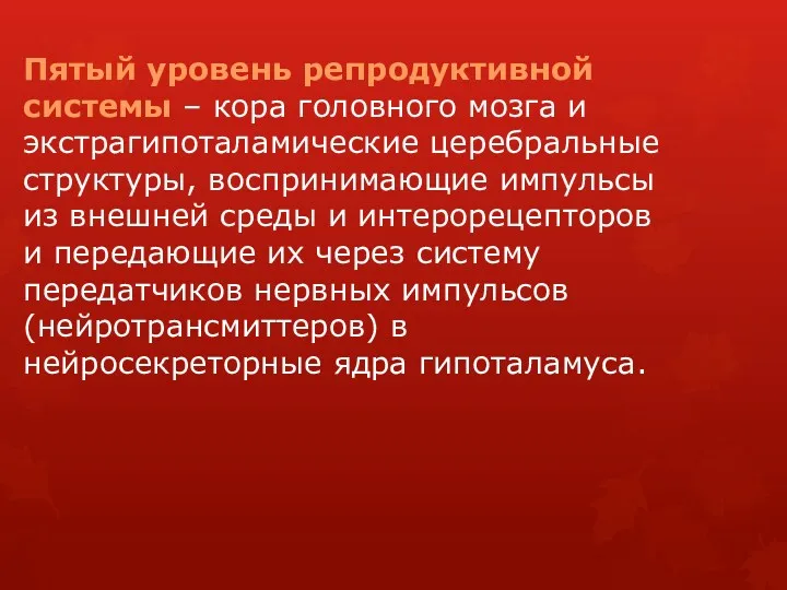 Пятый уровень репродуктивной системы – кора головного мозга и экстрагипоталамические