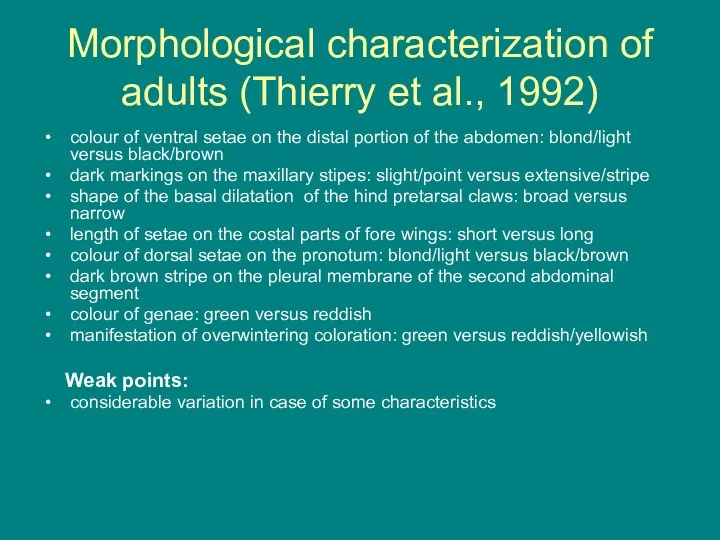 Morphological characterization of adults (Thierry et al., 1992) colour of ventral setae on