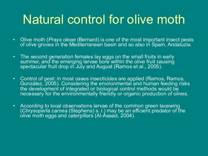 Natural control for olive moth Olive moth (Prays oleae (Bernard) is one of
