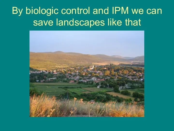 By biologic control and IPM we can save landscapes like that