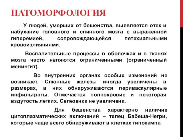 ПАТОМОРФОЛОГИЯ У людей, умерших от бешенства, выявляется отек и набухание