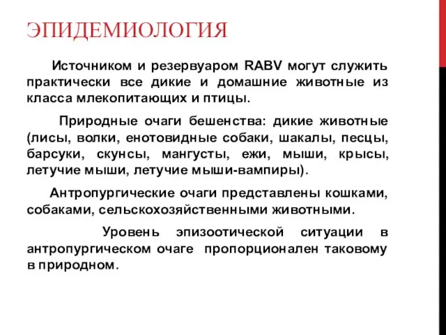 ЭПИДЕМИОЛОГИЯ Источником и резервуаром RABV могут служить практически все дикие