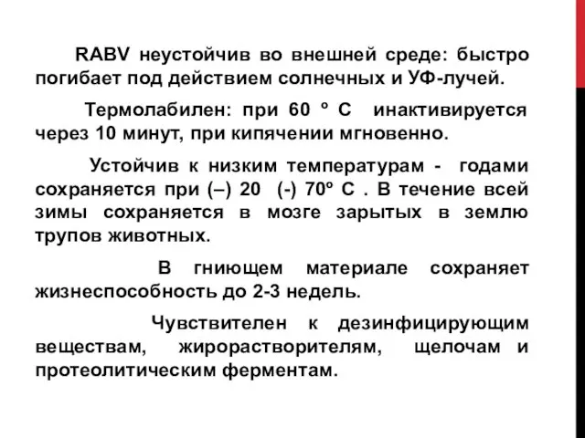 RABV неустойчив во внешней среде: быстро погибает под действием солнечных