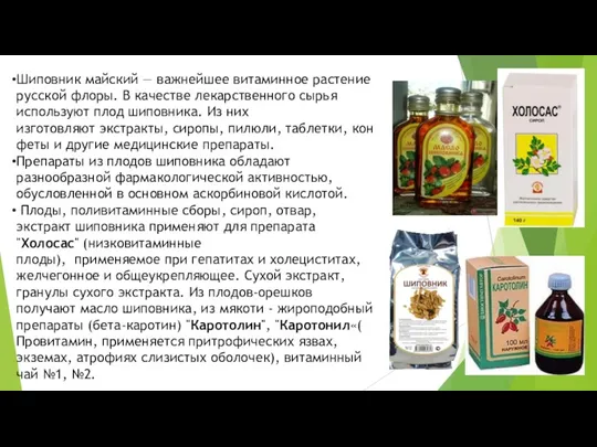 Шиповник майский — важнейшее витаминное растение русской флоры. В качестве лекарственного сырья используют