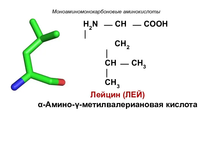 Моноаминомонокарбоновые аминокислоты H2N ⎯ CH ⎯ COOH ⏐ CH2 ⏐