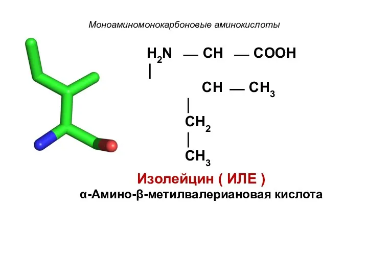 Моноаминомонокарбоновые аминокислоты H2N ⎯ CH ⎯ COOH ⏐ CH ⎯