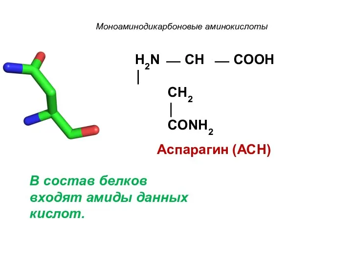 Моноаминодикарбоновые аминокислоты H2N ⎯ CH ⎯ COOH ⏐ CH2 ⏐