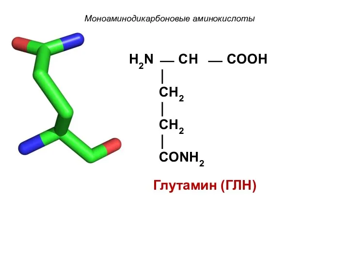 Моноаминодикарбоновые аминокислоты Глутамин (ГЛН) H2N ⎯ CH ⎯ COOH ⏐ CH2 ⏐ CH2 ⏐ CONH2