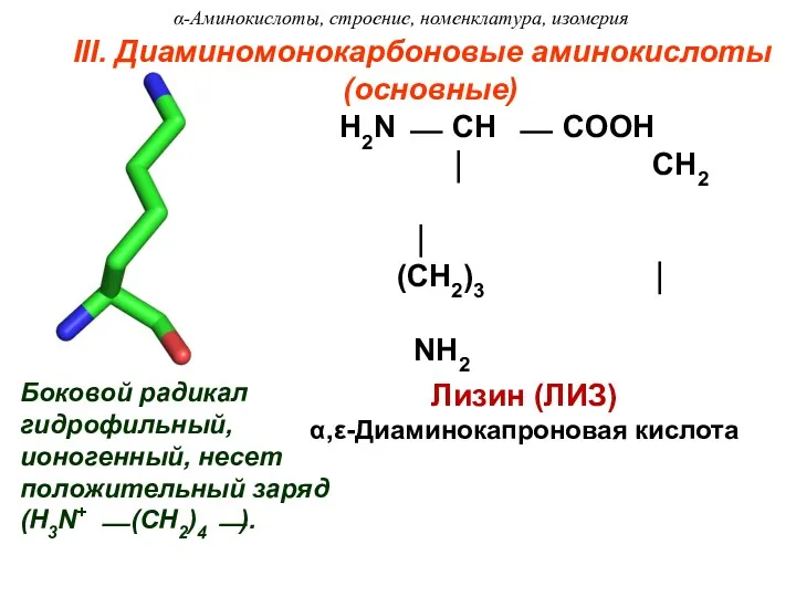 III. Диаминомонокарбоновые аминокислоты (основные) Лизин (ЛИЗ) α,ε-Диаминокапроновая кислота Боковой радикал