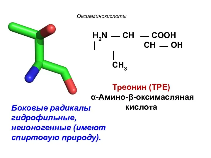 Оксиаминокислоты H2N ⎯ CH ⎯ COOH ⏐ CH ⎯ OH