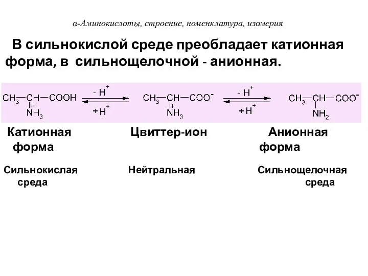 Сильнокислая Нейтральная Сильнощелочная среда среда В сильнокислой среде преобладает катионная