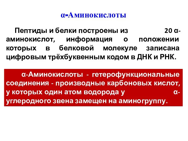 Пептиды и белки построены из 20 α-аминокислот, информация о положении