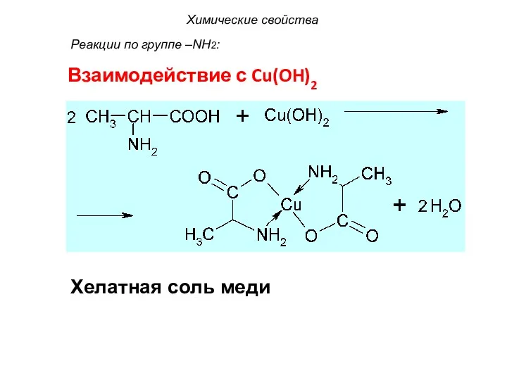 Взаимодействие с Cu(OH)2 Хелатная соль меди Химические свойства Реакции по группе –NH2: