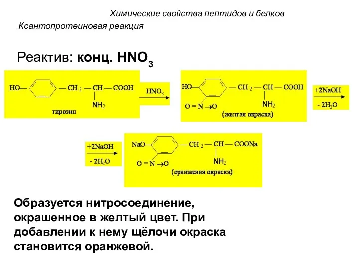 Ксантопротеиновая реакция Реактив: конц. HNO3 Образуется нитросоединение, окрашенное в желтый