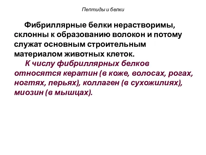 Пептиды и белки Фибриллярные белки нерастворимы, склонны к образованию волокон