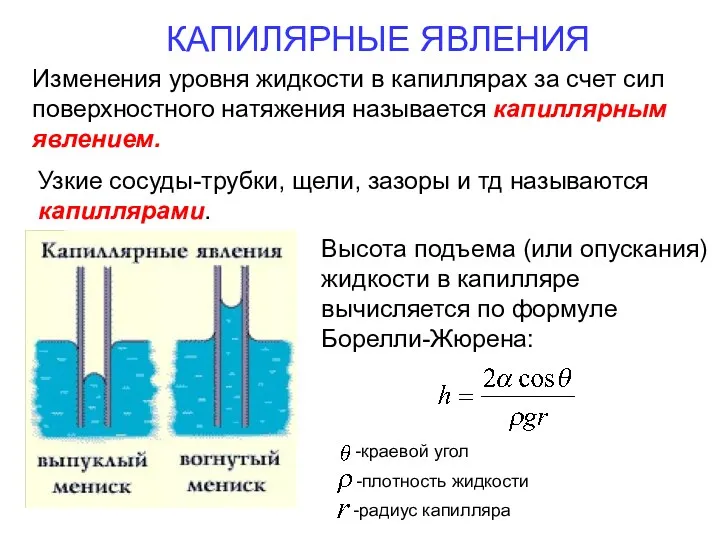 КАПИЛЯРНЫЕ ЯВЛЕНИЯ Изменения уровня жидкости в капиллярах за счет сил