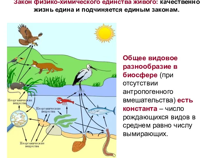 Закон физико-химического единства живого: качественно жизнь едина и подчиняется единым