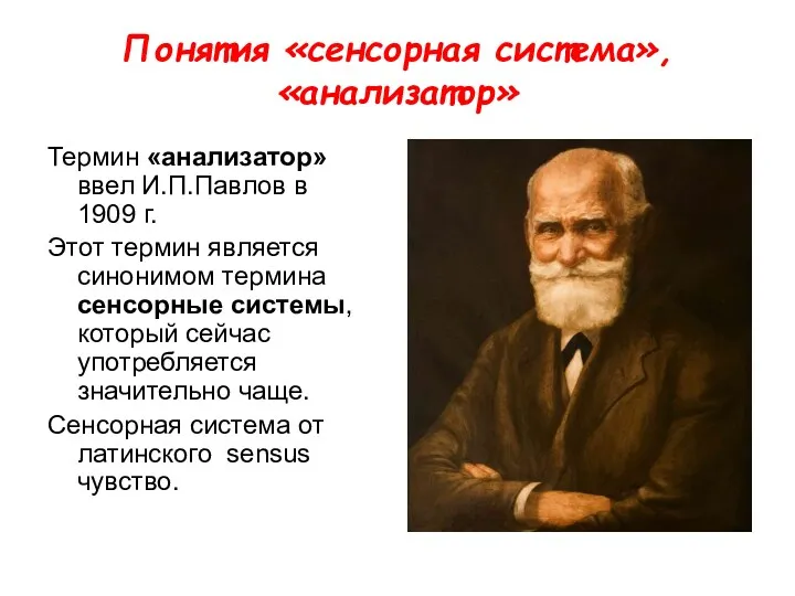 Понятия «сенсорная система», «анализатор» Термин «анализатор» ввел И.П.Павлов в 1909