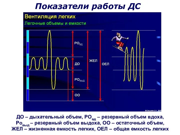 ДО – дыхательный объем, РОвд – резервный объем вдоха, Ровыд