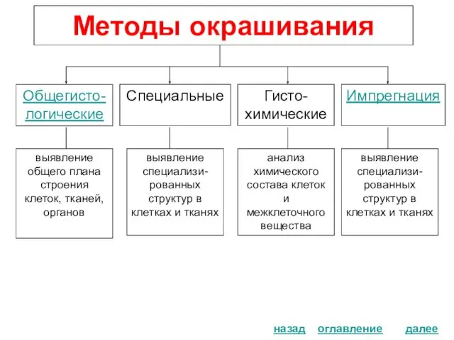 Специальные Методы окрашивания Общегисто-логические оглавление назад Импрегнация Гисто-химические выявление общего плана строения клеток,