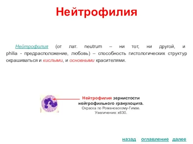 Нейтрофилия Нейтрофилия (от лат. neutrum – ни тот, ни другой, и philia -