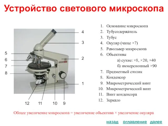 Устройство светового микроскопа Основание микроскопа Тубусодержатель Тубус Окуляр (чаще ×7)