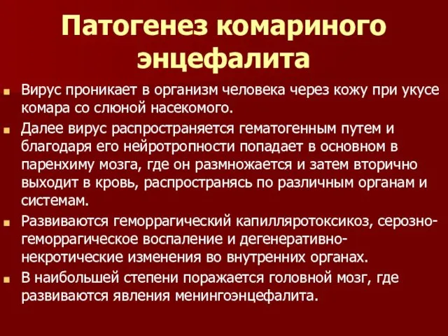 Патогенез комариного энцефалита Вирус проникает в организм человека через кожу