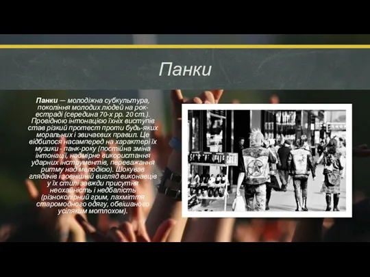 Панки Панки — молодіжна субкультура, покоління молодих людей на рок-естраді