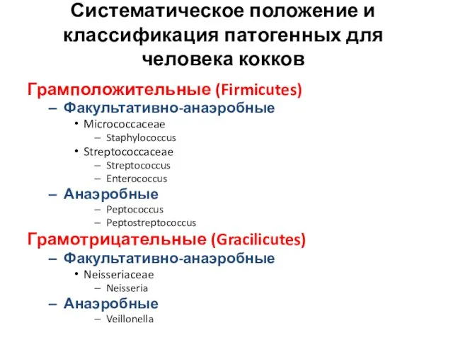 Систематическое положение и классификация патогенных для человека кокков Грамположительные (Firmicutes)