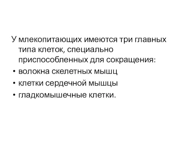 У млекопитающих имеются три главных типа клеток, специально приспособленных для