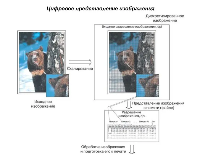 Цифровое представление изображения