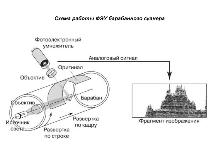 Схема работы ФЭУ барабанного сканера