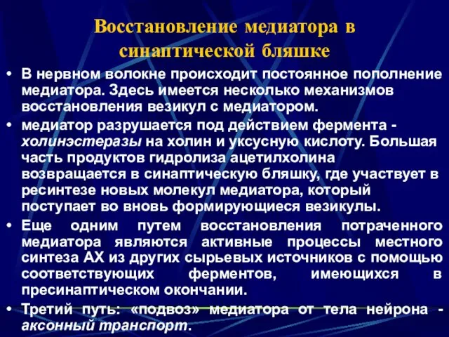 Восстановление медиатора в синаптической бляшке В нервном волокне происходит постоянное