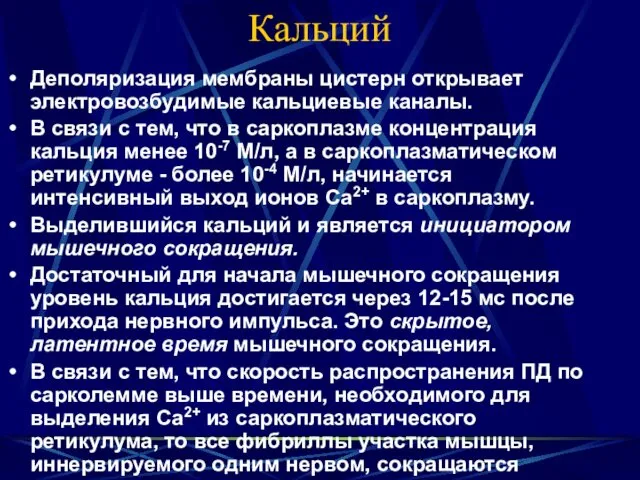 Кальций Деполяризация мембраны цистерн открывает электровозбудимые кальциевые каналы. В связи с тем, что