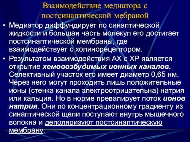 Взаимодействие медиатора с постсинаптической мебраной Медиатор диффундирует по синаптической жидкости