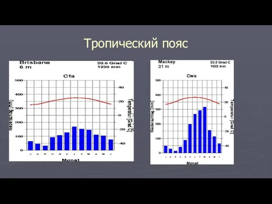 Тропический пояс