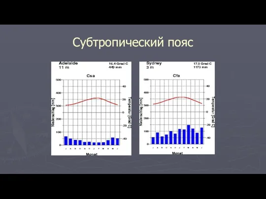 Субтропический пояс