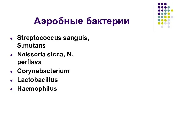 Аэробные бактерии Streptococcus sanguis, S.mutans Neisseria sicca, N. perflava Corynebacterium Lactobacillus Haemophilus